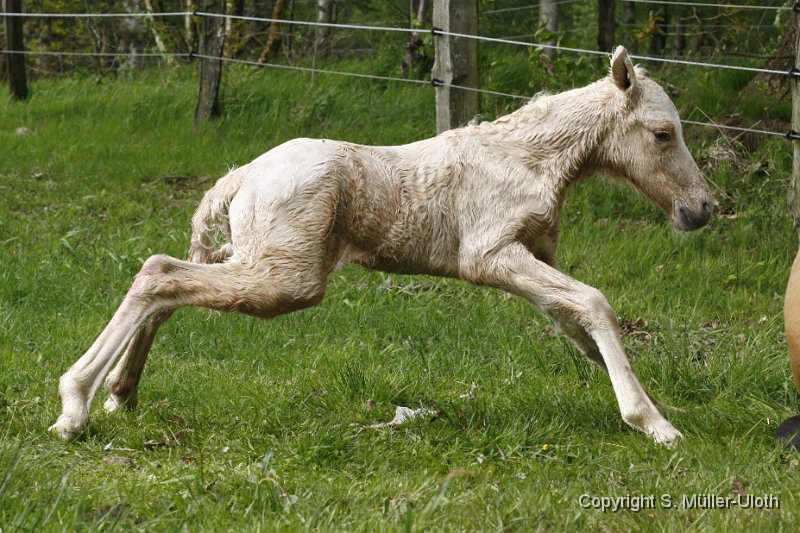 Hjoerdis 22 Min alt (12).JPG